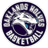 https://img.lmykq.com/img/basketball/team/c48fa6a023f3d963f7dc8825212815d4.png